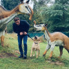 2021_hundeplus_dinopark_26b39a3d-31be-4c96-9c56-0ce3082b40e3