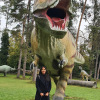 2021_hundeplus_dinopark_2bce2da8-4aa8-4e81-a397-3899b38dc8d6