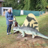 2021_hundeplus_dinopark_3a66723f-9d9b-4913-b5a7-f39292640a06