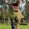 2021_hundeplus_dinopark_4ada3878-3b52-4252-9133-669d47f939ba