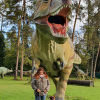 2021_hundeplus_dinopark_4d852b5c-a792-4f6d-92b5-24f574d6f095