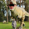 2021_hundeplus_dinopark_5d640334-5293-43af-9c98-6d9f2f08dafb