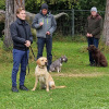 2021_hundeplus_dinopark_602d9246-f5f7-4d91-93f1-8c87b55f2897