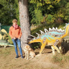 2021_hundeplus_dinopark_63bd1eff-1e21-4e11-a807-6d6ca54446f2