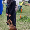 2021_hundeplus_dinopark_66d20e40-b34a-4626-aa58-a90f21c47675