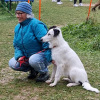 2021_hundeplus_dinopark_6b98ee5f-4f8b-4758-9245-f9bd870226c9