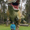 2021_hundeplus_dinopark_7057ddb0-ac3e-4fcb-a9cd-876124e7e083