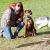 2021_hundeplus_dinopark_721315fa-c08d-4768-9a25-2ca4395fa819