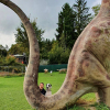 2021_hundeplus_dinopark_83d79c61-5022-45b9-89fe-cb700e23bdeb