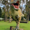 2021_hundeplus_dinopark_84633497-5a82-4695-9bd0-7ff35187dec2