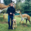 2021_hundeplus_dinopark_85f83b0f-c9fb-4904-90db-775fc4af1521