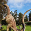 2021_hundeplus_dinopark_910b4911-46cd-4211-979e-159c768010b4
