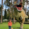 2021_hundeplus_dinopark_99e9689c-bdeb-48e3-90ab-a1b690c40726