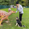 2021_hundeplus_dinopark_IMG_2010