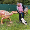 2021_hundeplus_dinopark_IMG_2012