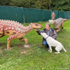 2021_hundeplus_dinopark_IMG_2017