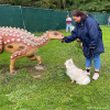 2021_hundeplus_dinopark_IMG_2029
