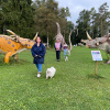 2021_hundeplus_dinopark_IMG_2045