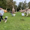 2021_hundeplus_dinopark_IMG_2050