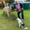 2021_hundeplus_dinopark_IMG_2055