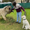 2021_hundeplus_dinopark_IMG_2056