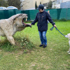 2021_hundeplus_dinopark_IMG_2061