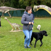 2021_hundeplus_dinopark_IMG_2067