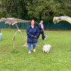 2021_hundeplus_dinopark_IMG_2069