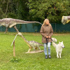 2021_hundeplus_dinopark_IMG_2074