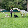 2021_hundeplus_dinopark_IMG_2077