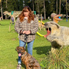 2021_hundeplus_dinopark_IMG_2263
