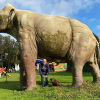 2021_hundeplus_dinopark_IMG_2273