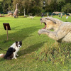 2021_hundeplus_dinopark_IMG_2280