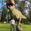 2021_hundeplus_dinopark_IMG_2385