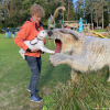 2021_hundeplus_dinopark_IMG_2391