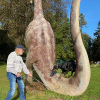 2021_hundeplus_dinopark_IMG_2441