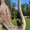 2021_hundeplus_dinopark_IMG_2462