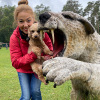 2021_hundeplus_dinopark_IMG_2617