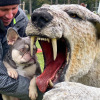 2021_hundeplus_dinopark_IMG_2628