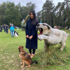 2021_hundeplus_dinopark_IMG_2633