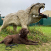 2021_hundeplus_dinopark_IMG_2640