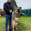 2021_hundeplus_dinopark_IMG_2644