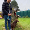 2021_hundeplus_dinopark_IMG_2645