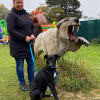2021_hundeplus_dinopark_IMG_2649