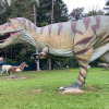 2021_hundeplus_dinopark_IMG_2669