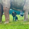 2021_hundeplus_dinopark_IMG_2753