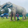 2021_hundeplus_dinopark_IMG_2765