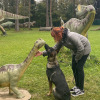 2021_hundeplus_dinopark_IMG_2786