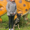2021_hundeplus_dinopark_IMG_2816