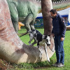 2021_hundeplus_dinopark_ab5c0932-e369-45fb-9c4e-da8d303f8345